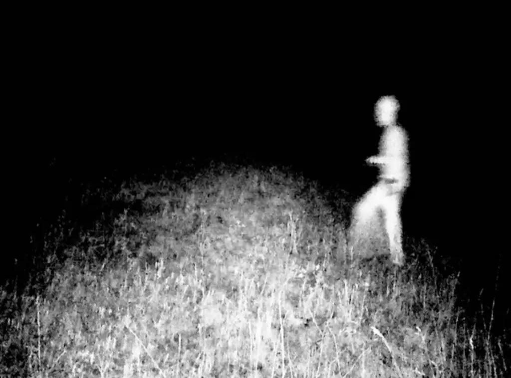 The Proof is Out There: Weeping Mary and the Montana Alien