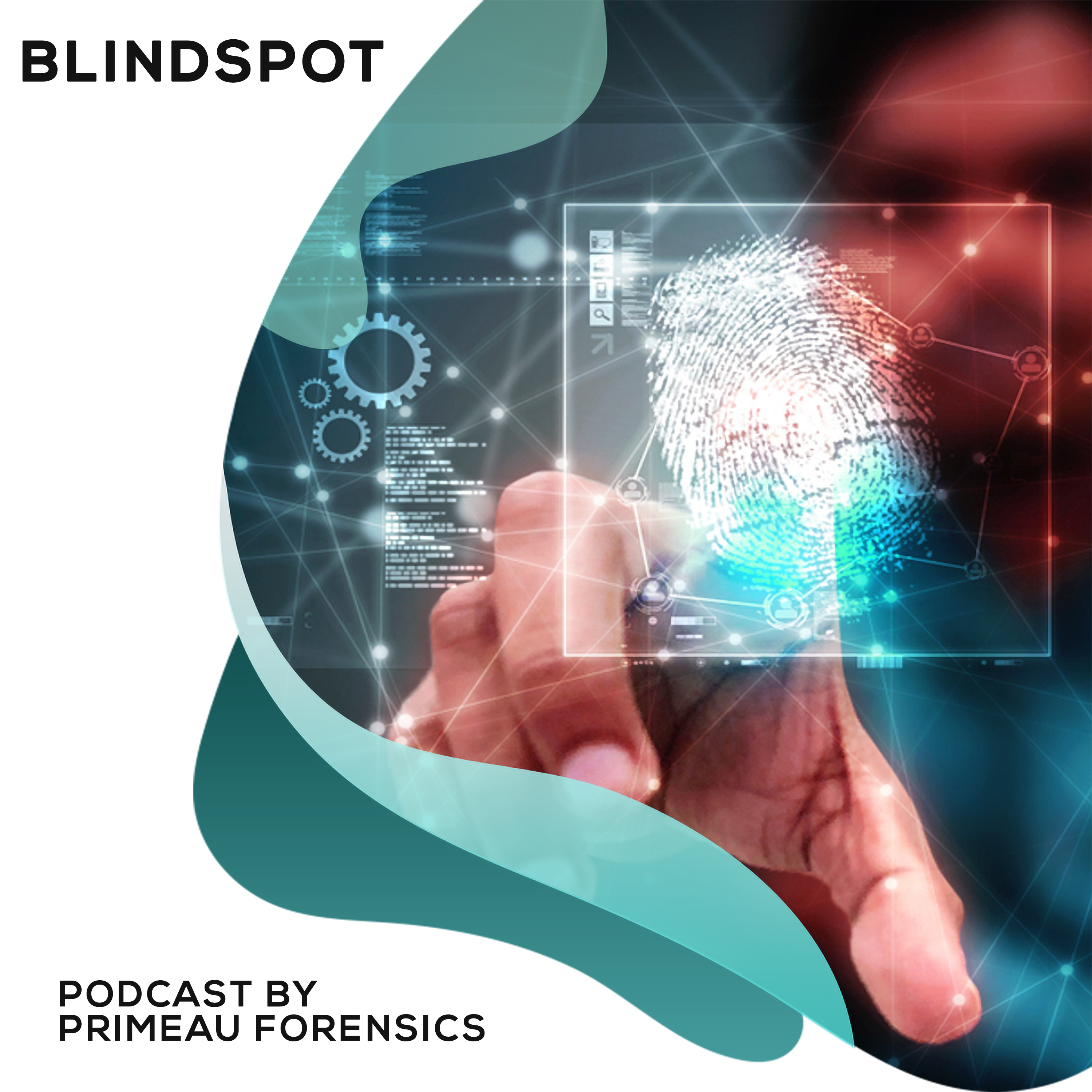 Blindspots of Forensic Analysis 